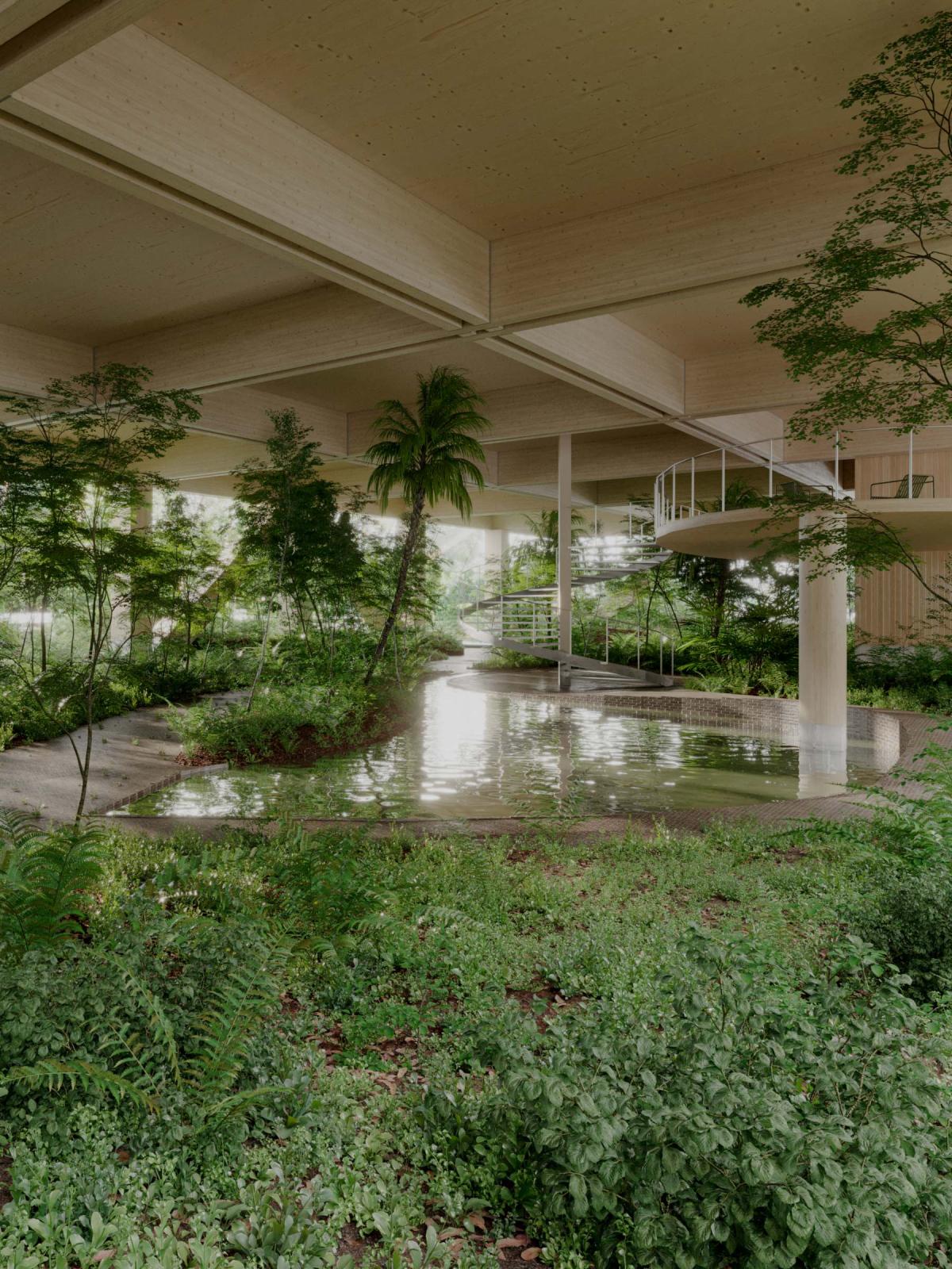 嘉屋2024木造集居示範設計｜木洞Woodhole