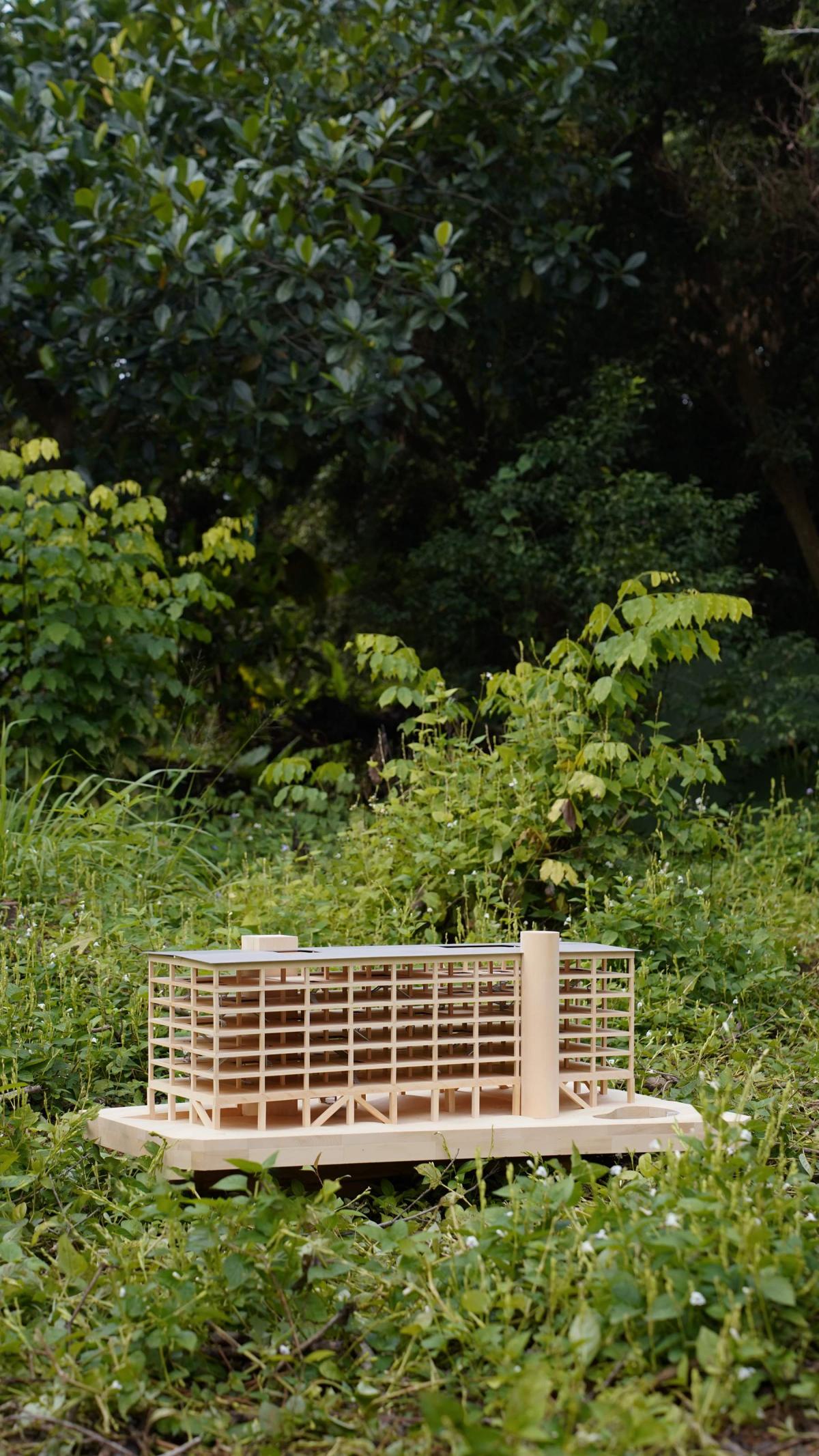 嘉屋2024木造集居示範設計｜木洞Woodhole