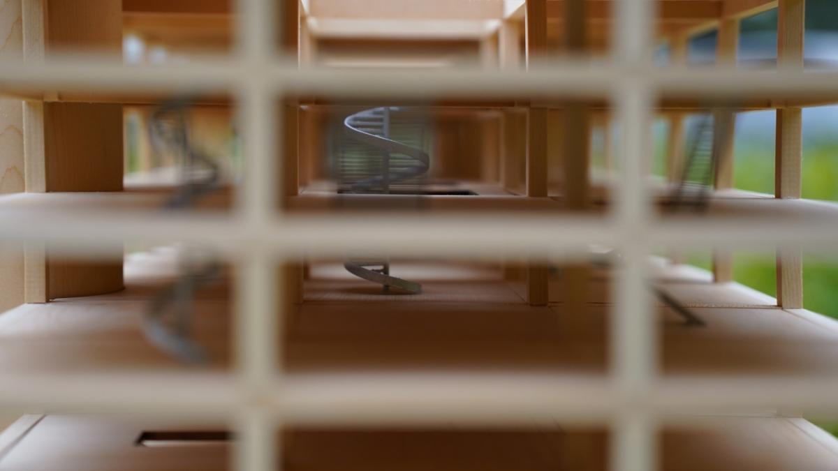 嘉屋2024木造集居示範設計｜木洞Woodhole