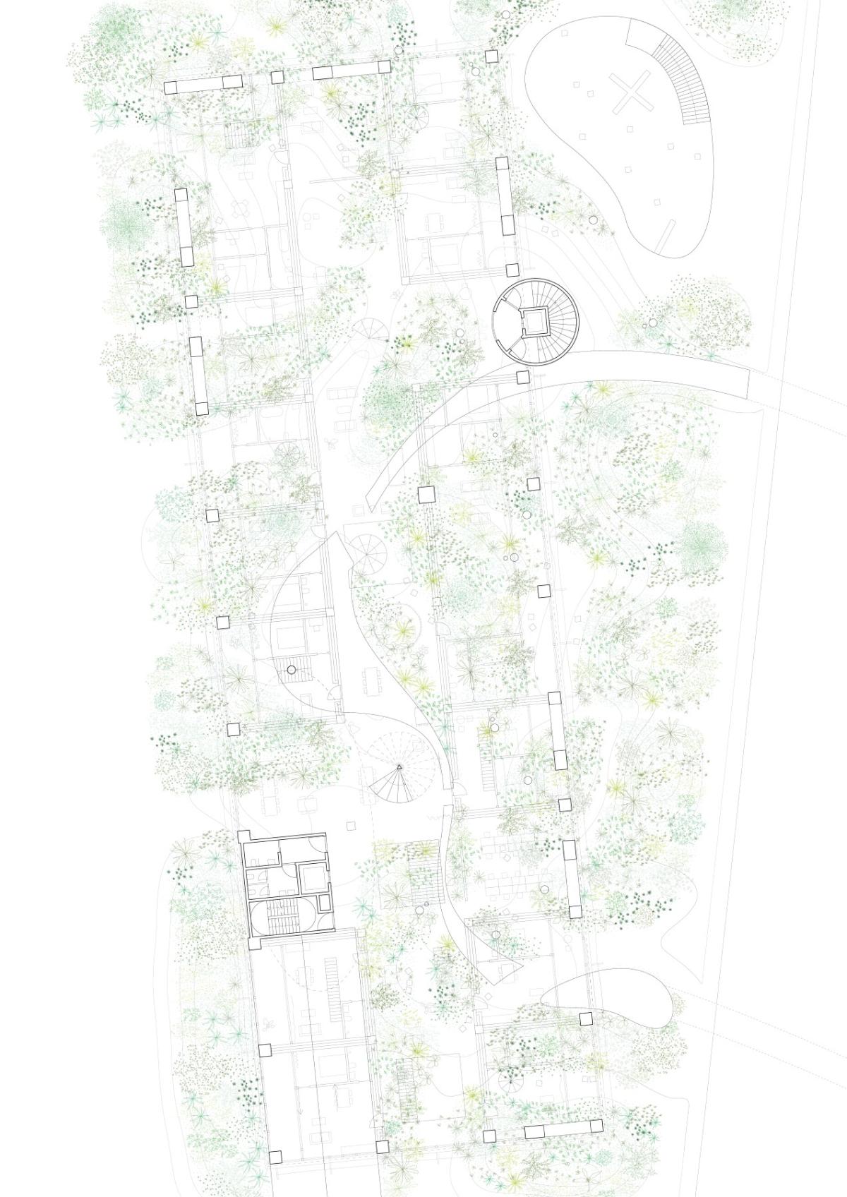 嘉屋2024木造集居示範設計｜木洞Woodhole